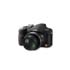 Panasonic Lumix DMC-FZ28K 10MP Digital Camera (Black)